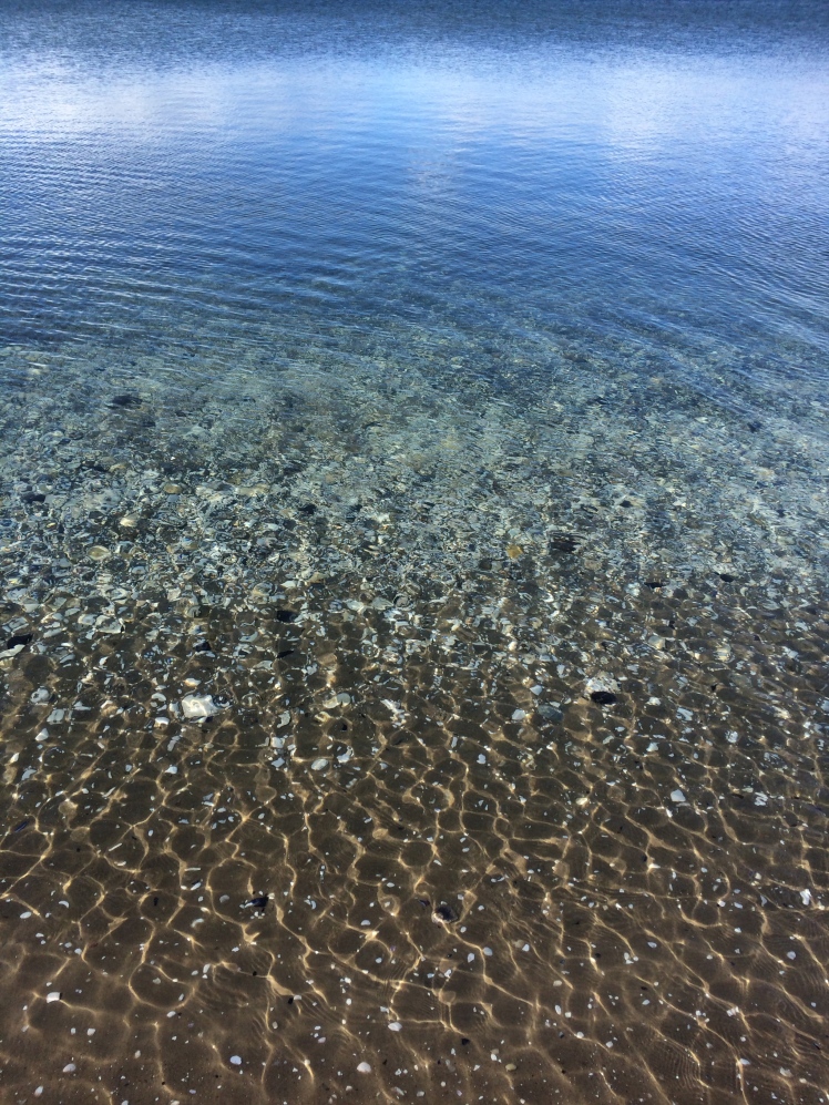 The shallows (Shelly Beach)