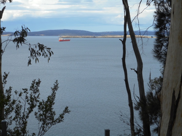 Ship off South Arm from Alum Cliffs